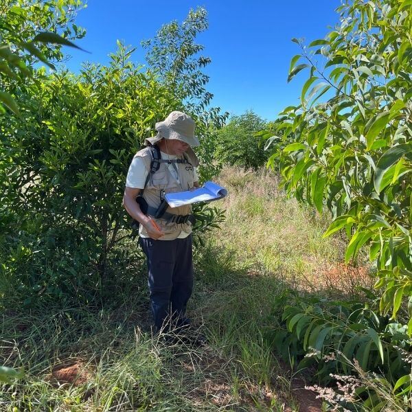 Satrokala Forest recovery