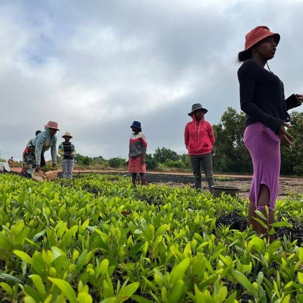 Satrokala communities